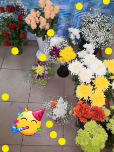 Цветы. Свежая срезка. Цена от 50 р. Цветы. Свежая срезка. Цена от 50 р.